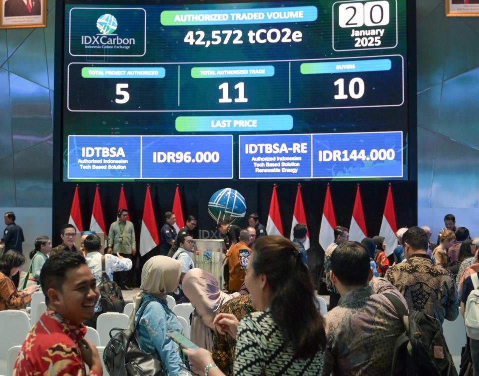 Peraturan Baru PBB Dorong Pasar Karbon Global Lebih Kredibel dan Efektif