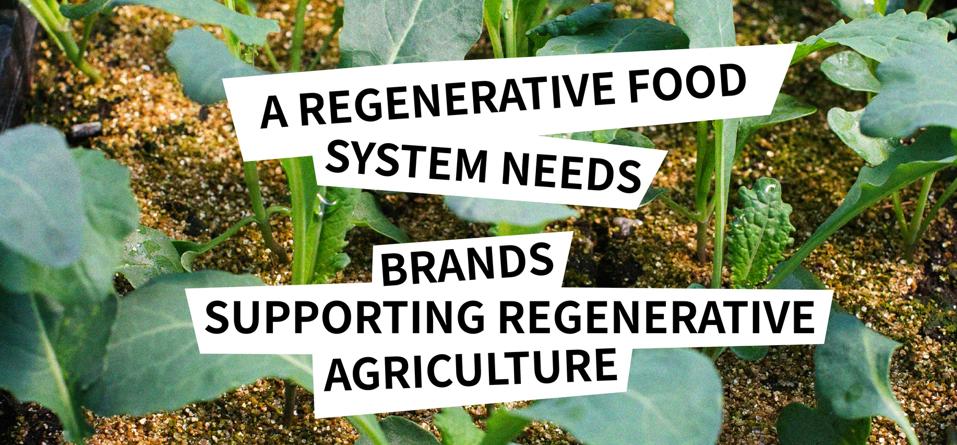 ReGen Brands: Membangun Ekosistem untuk Memperkuat Merek Pertanian Regeneratif
