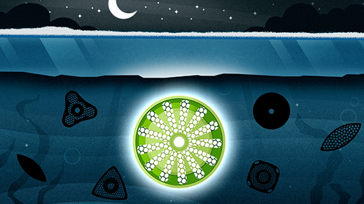 Mikroalga Arktik Mampu Fotosintesis dengan Cahaya Hampir Nol Saat Malam Kutub