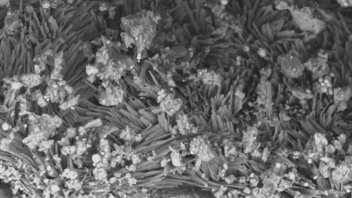 Penemuan Mineral Unik di Asteroid Bennu Buka Rahasia Asal Usul Kehidupan