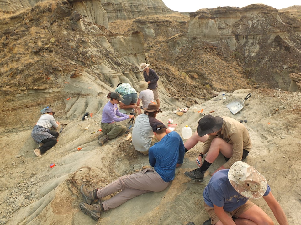 Fosil Bukti Serangan Buaya pada Pterosaurus Raksasa di Alberta
