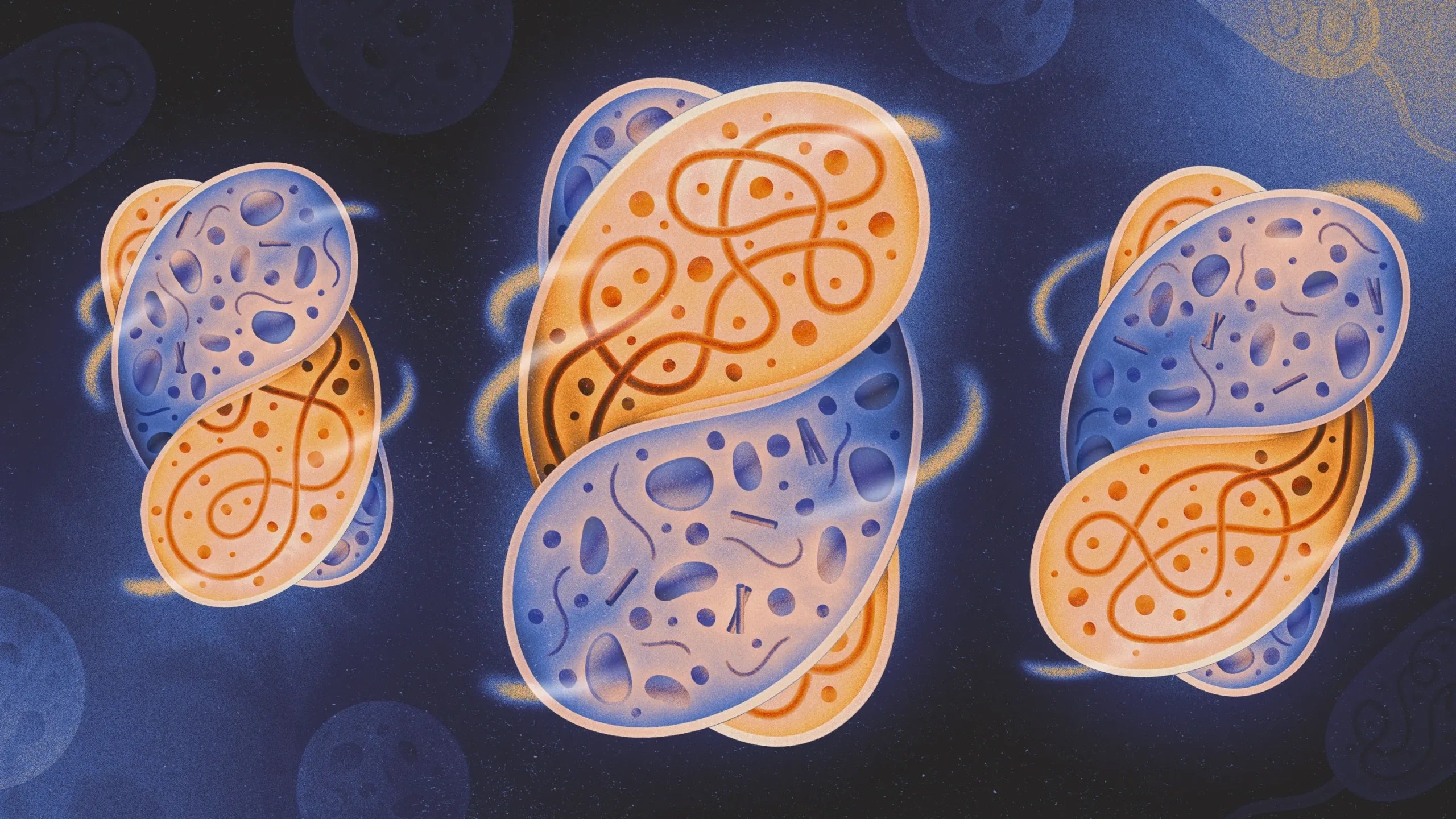 Peneliti Ciptakan Endosimbiosis Langkah Awal Evolusi Hidup Kompleks di Lab