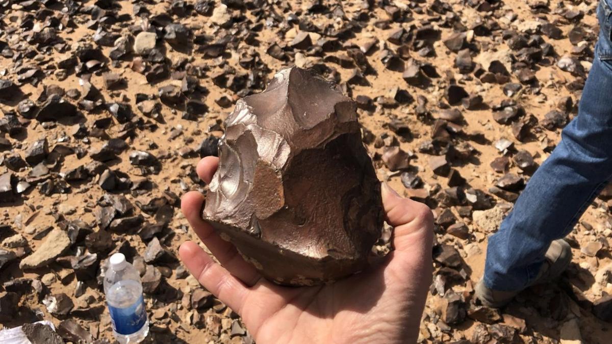 Penemuan Ribuan Alat Batu Purba di Gurun Irak Buka Tabir Sejarah Manusia