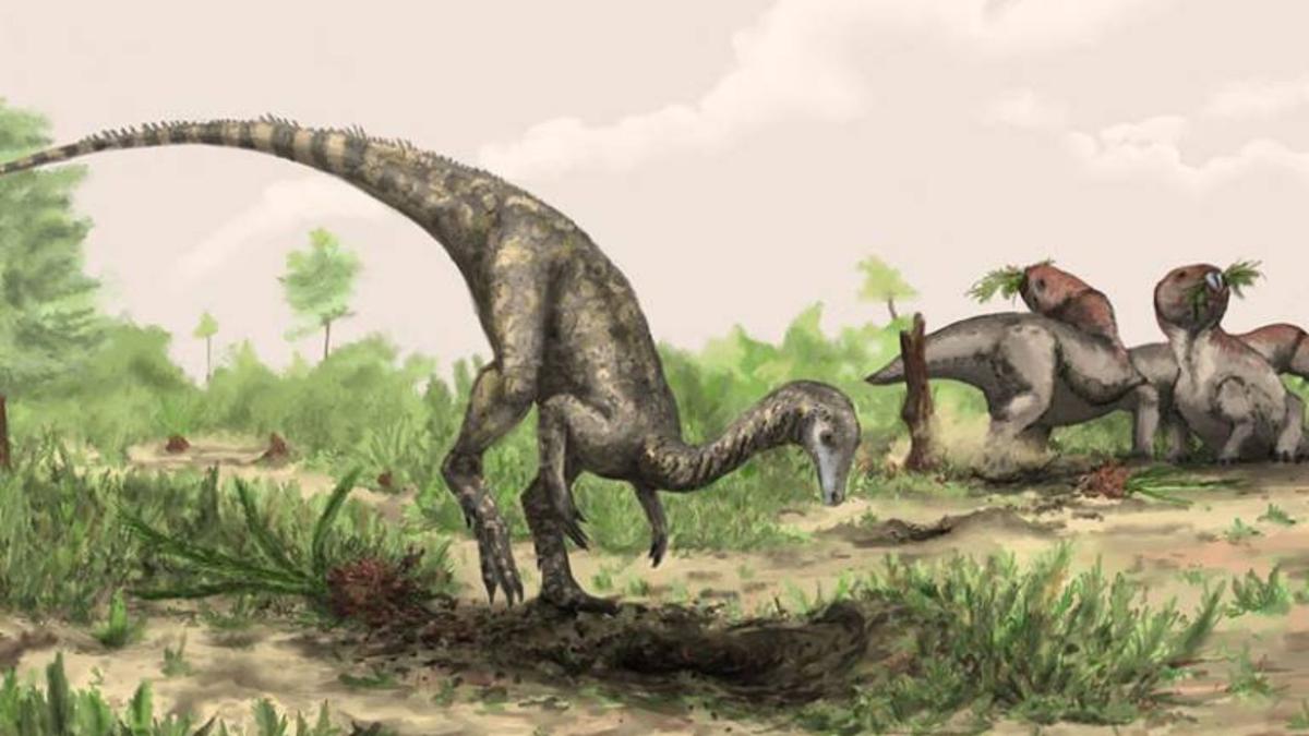 Misteri Asal-Usul Dinosaurus: Fosil Terpencil di Garis Khatulistiwa