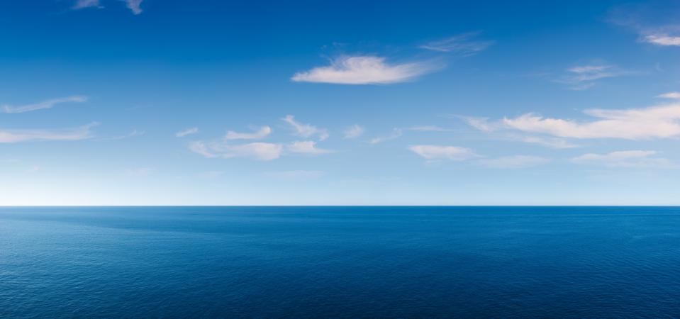 Misteri Paus 52 Hertz: Suara Sepi dari Kedalaman Samudra Pasifik