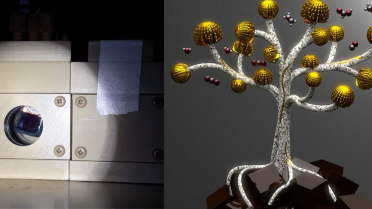 Teknologi Baru Ubah CO₂ Jadi Bahan Bakar Cair dan Plastik dengan Sinar Matahari