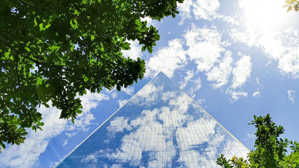 CSU dan OpenAI Luncurkan AI Terbesar untuk Pendidikan dan Tenaga Kerja Masa Depan