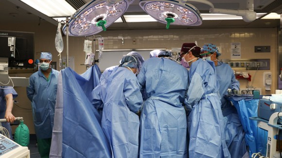 Uji Klinis Transplantasi Ginjal Babi: Harapan Baru Penyembuhan Gagal Ginjal