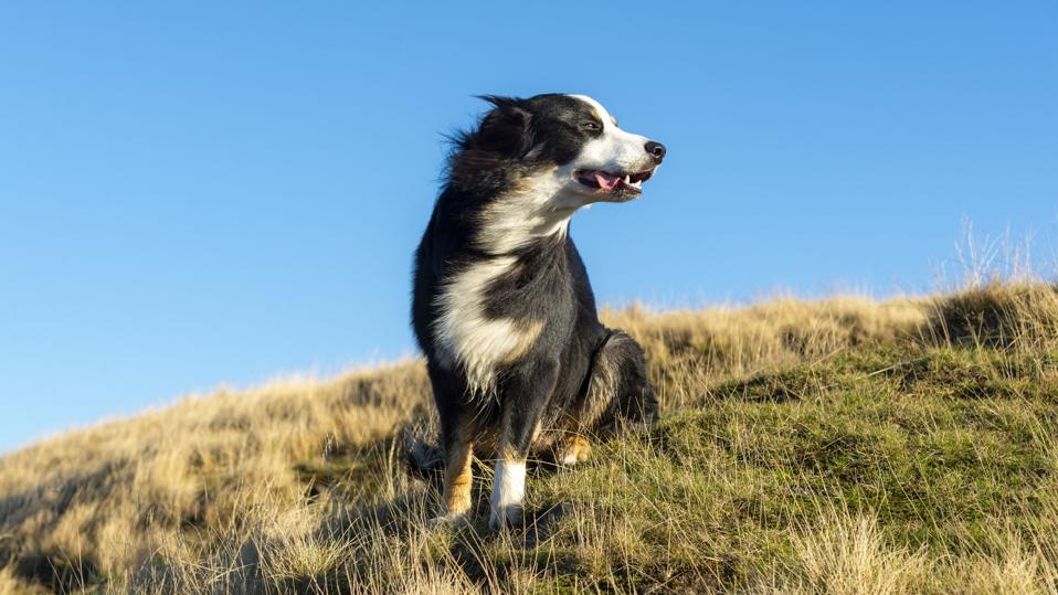 Cara Mudah Perbarui Aksesori Apple Kamu untuk Resolusi Tanpa Stres