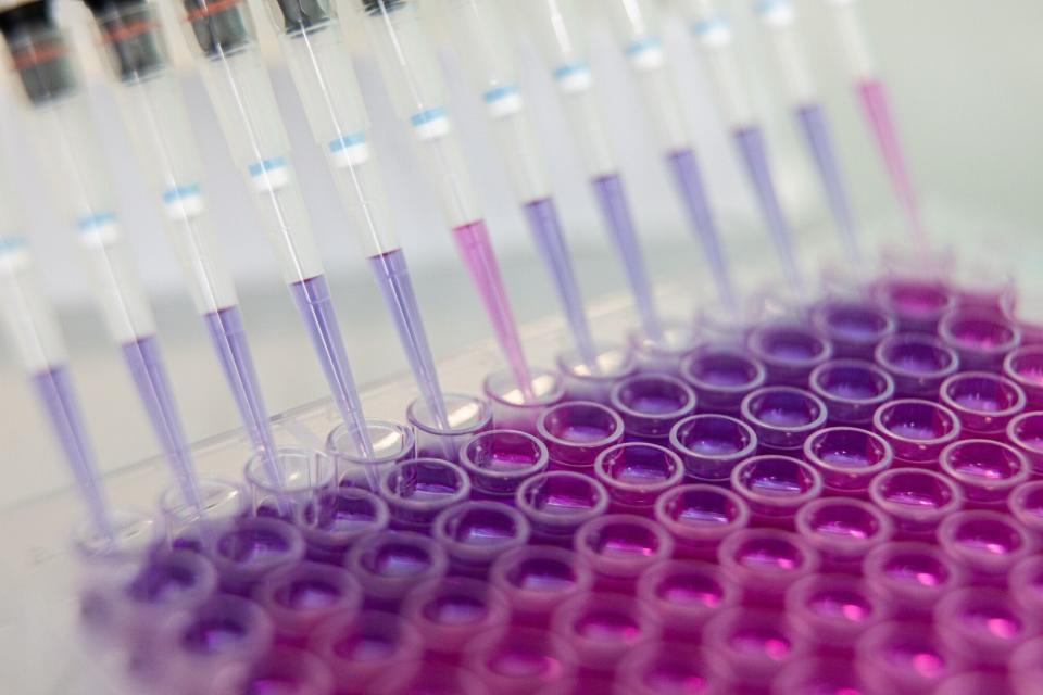 Bain Capital Hampir Akuisisi Unit Farmasi Mitsubishi: Nilai Transaksi Rp478 Triliun