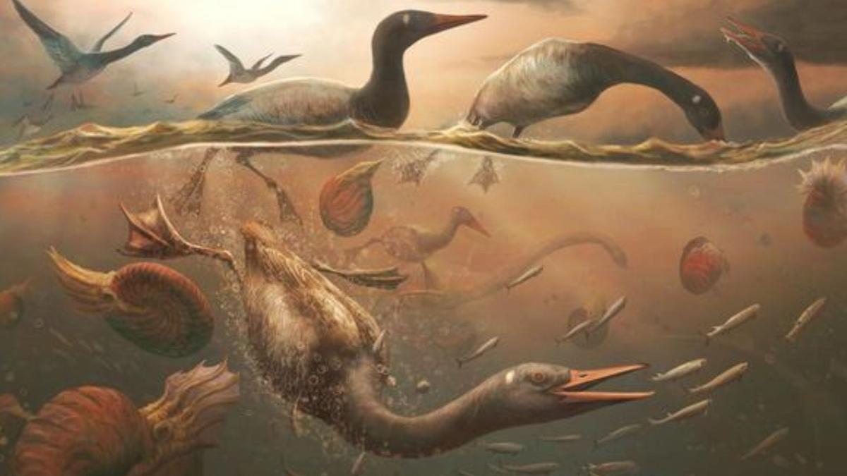 Antarktika: Tempat Perlindungan Burung Modern Tertua Saat Kepunahan Dinosaurus