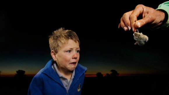 Penemuan Otak Tikus yang Bisa Bantu Redakan Rasa Takut pada Manusia