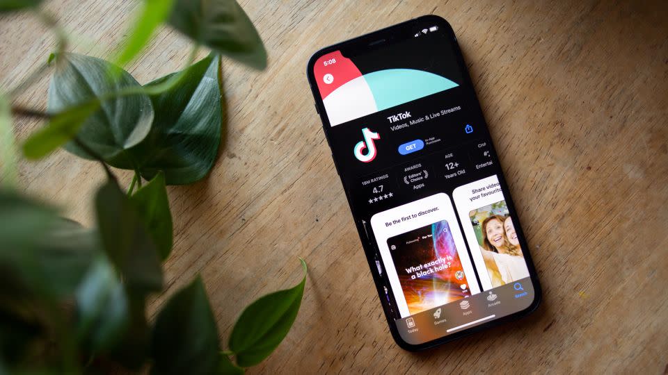 Elon Musk Tegaskan Tak Berminat Beli TikTok Meski Banyak Investor Tertarik
