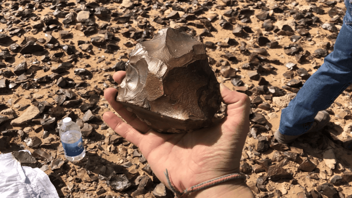 Penemuan Artefak Manusia Purba Berusia 1,5 Juta Tahun di Gurun Irak