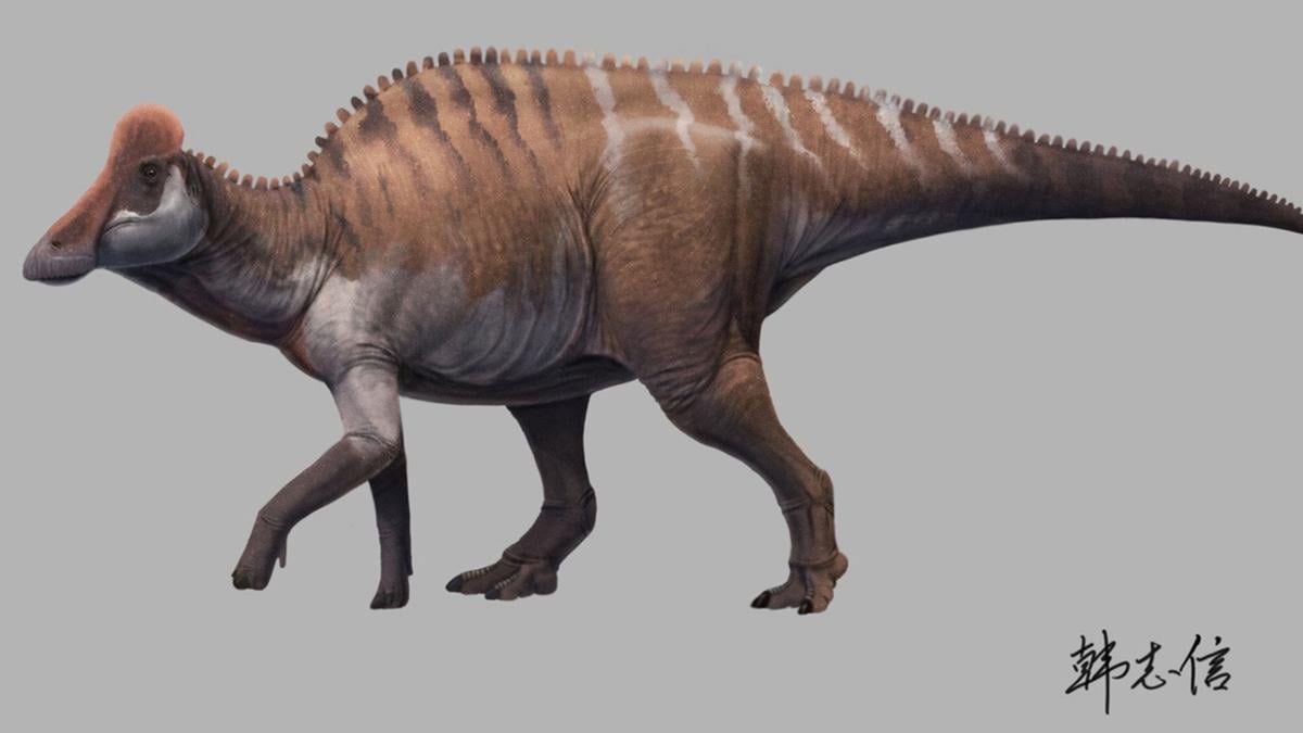 Penemuan Langka Fosil Dinosaurus Bebek 70 Juta Tahun di Tiongkok Selatan