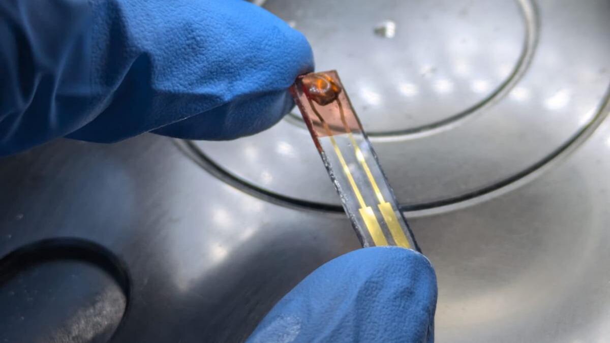 Teknologi Penglihatan Buatan Ramah Lingkungan Berbasis Madudan Otak Manusia