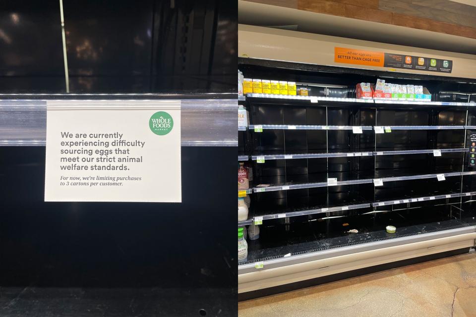 Krisis Telur Amerika: Harga Meroket dan Stok Menipis Akibat Flu Burung