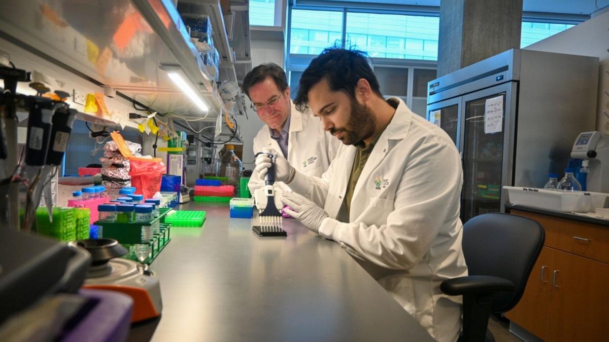 Tes Darah PAC-MANN: Terobosan Deteksi Dini Kanker Pankreas yang Akurat dan Murah