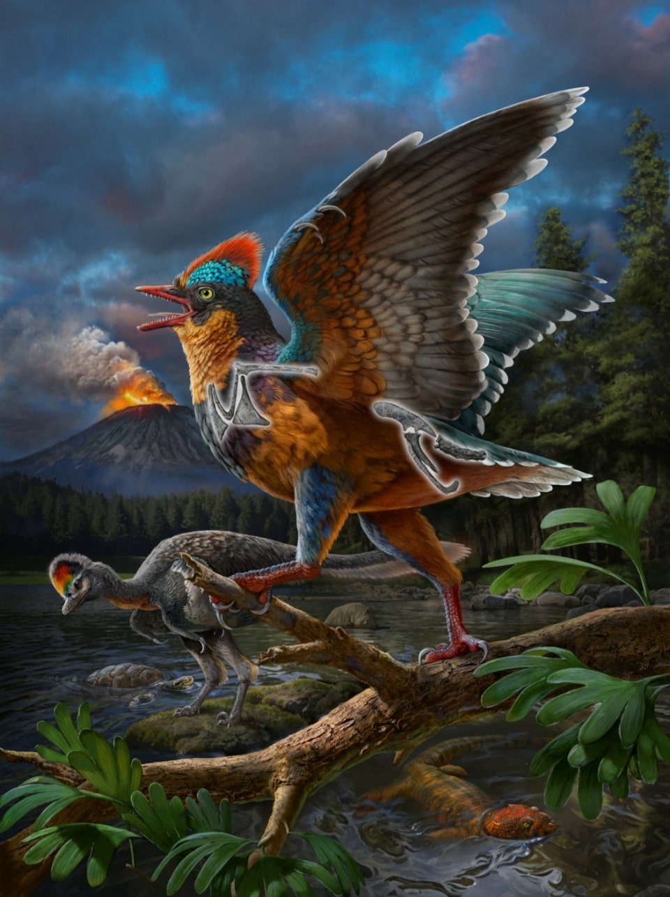 Penemuan Baminornis Ubah Pandangan Tentang Evolusi Burung Jurassic