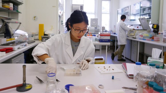 Penurunan Minat Studi Doktoral Karena Kondisi Finansial dan Peluang Karir Terbatas