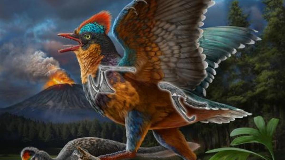 Fosil Burung Jurassic Baru Ungkap Evolusi Burung Lebih Awal dari Dugaan