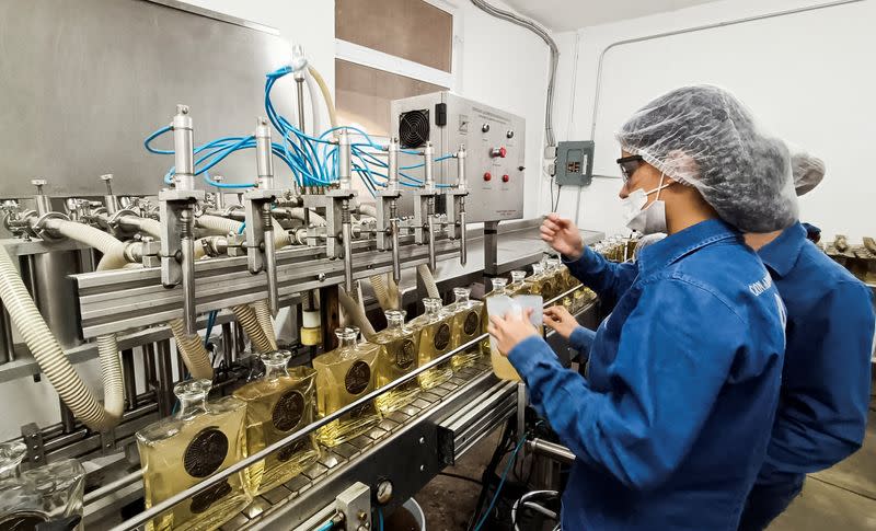 Tarif Impor AS 25% Ancaman Besar Bagi Industri Tequila Meksiko