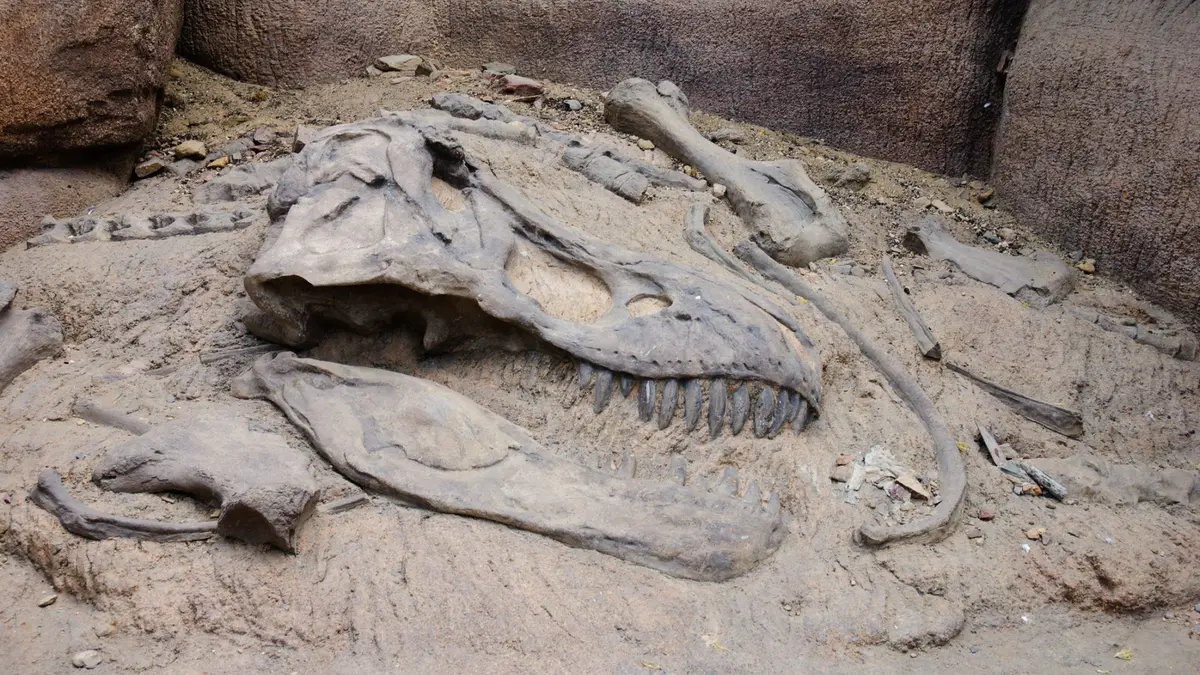 Fosil Predator Kuno Ungkap Ekosistem Unik Australia Zaman Dinosaurus