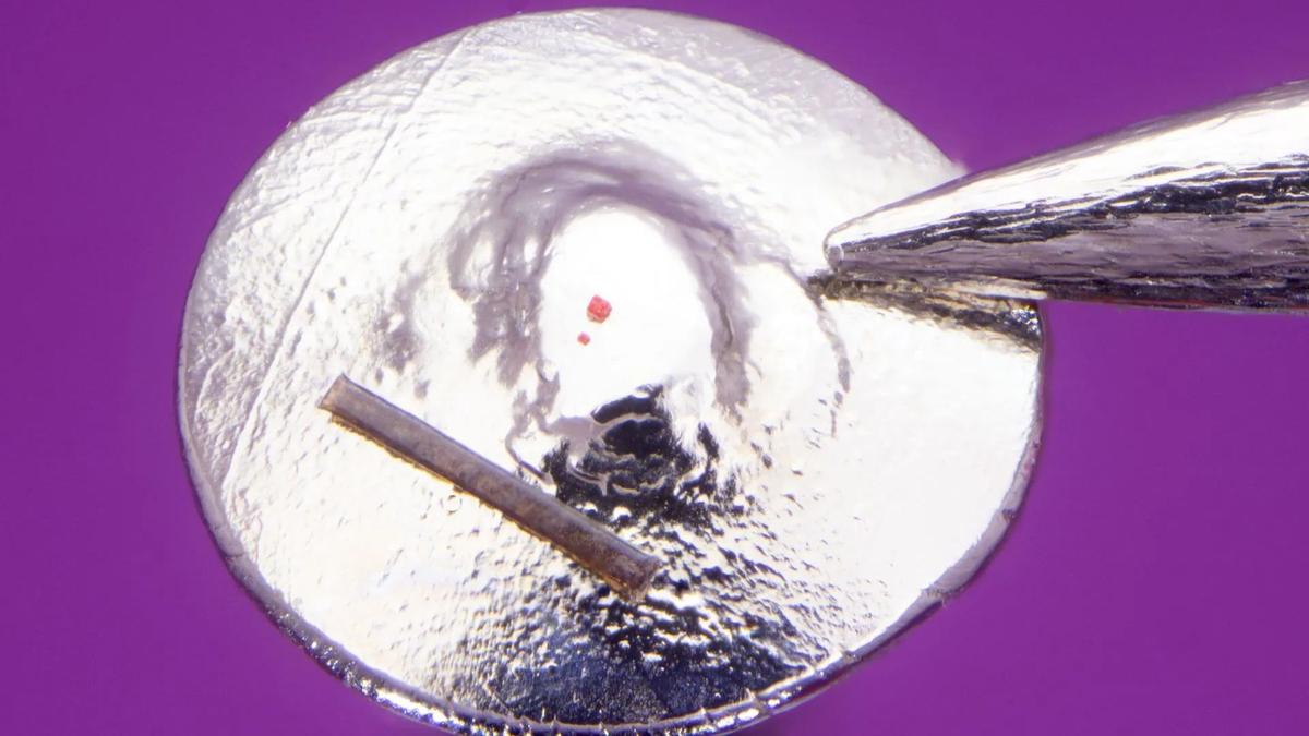 David Lindon Raih Rekor Dunia Patung LEGO Terkecil dengan Karya Mikro