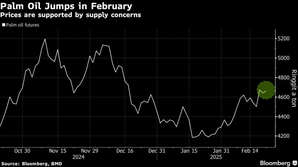 Banjir Melanda Perkebunan Sawit Malaysia, Produksi 2025 Diprediksi Tertekan