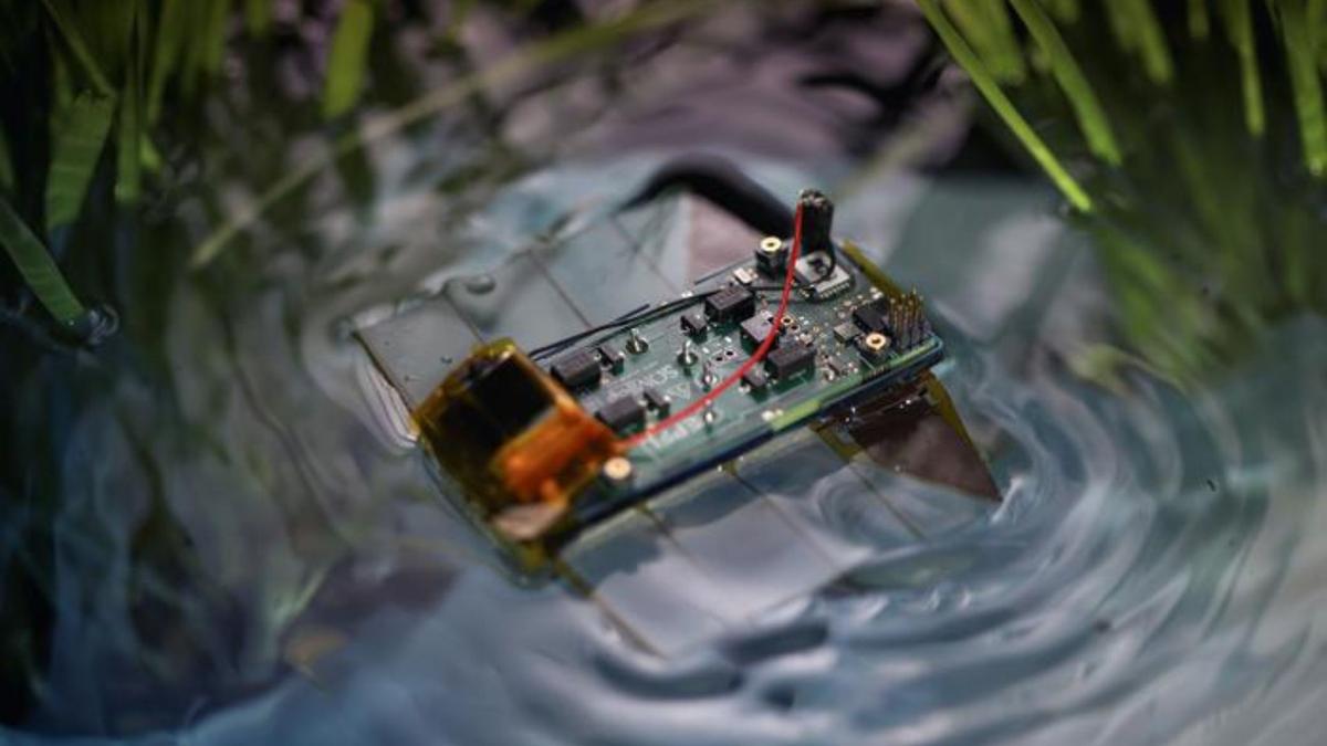 Robot Bawah Air Mini Cepat dan Senyap Terinspirasi Flatworm untuk Ekologi