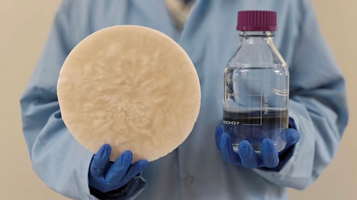 Teknologi Baru Mengubah Biomassa Jadi Air Minum Bersih dari Udara