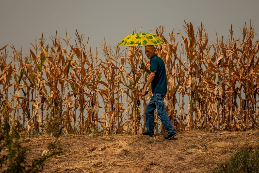Risiko Hilangnya 35% Lahan Pertanian China Meski Target Iklim Terpenuhi