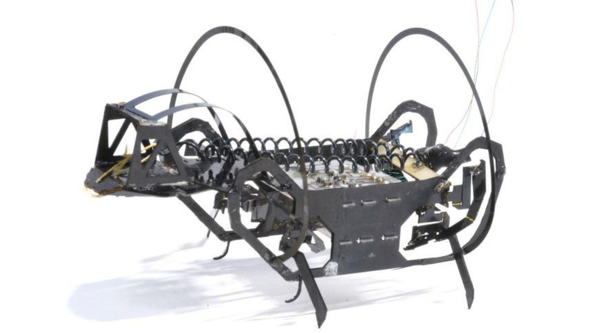 Robot Microrobot Gesit Harvard dengan Lompat Mirip Springtail untuk Penyelamatan