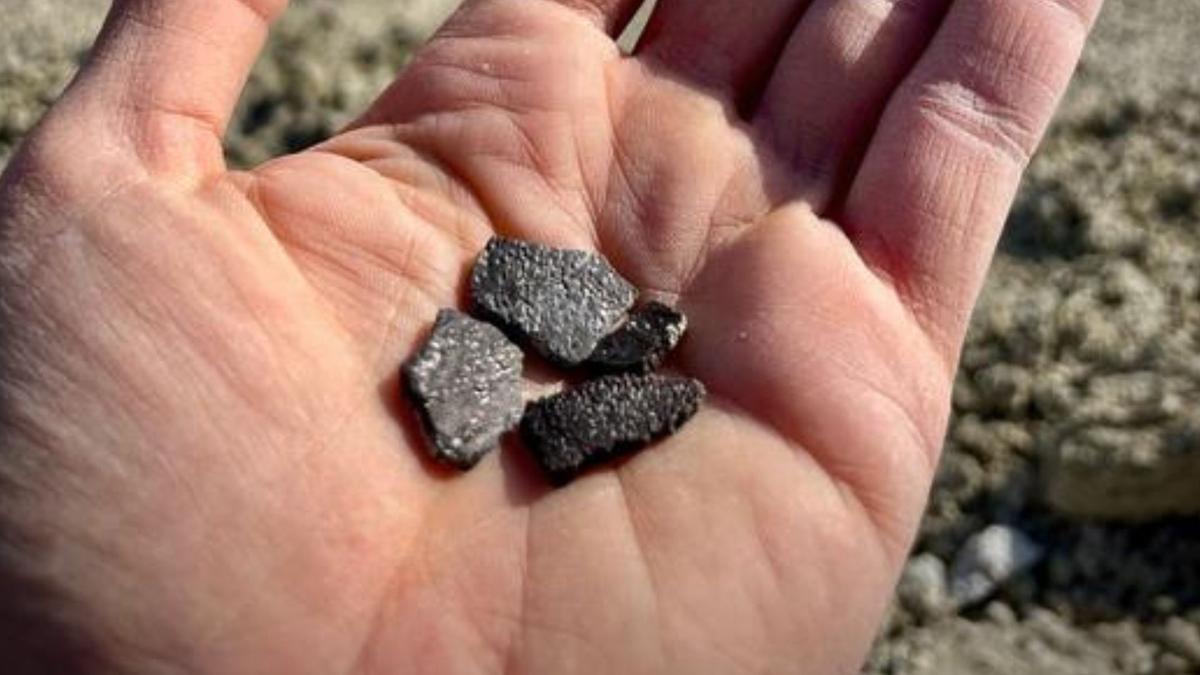 Penemuan Fragmen Telur Fosil Ungkap Keanekaragaman Dinosaurus di Utah