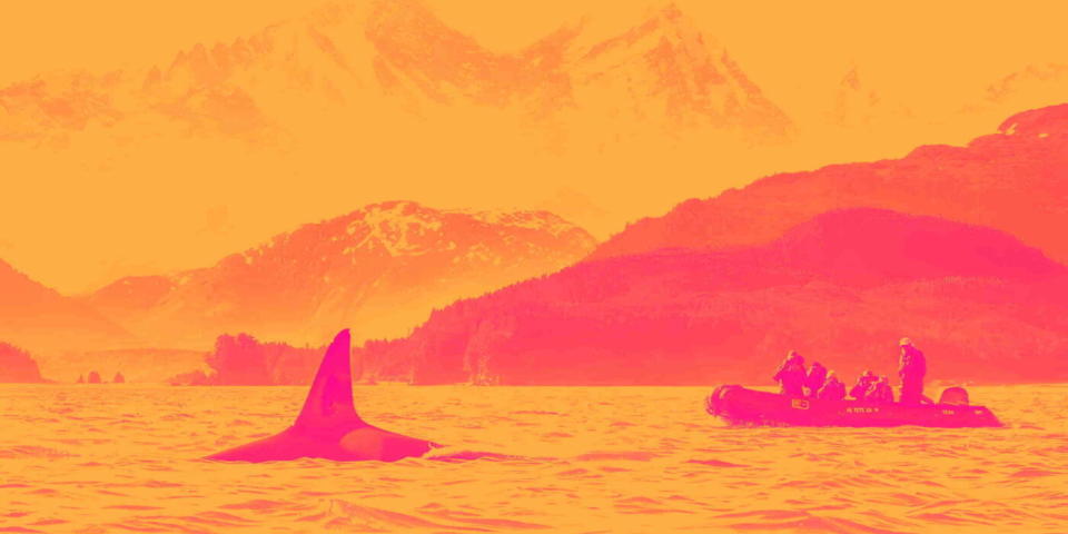 Lindblad Expeditions Tumbuh Pesat tapi Masih Alami Kerugian, Apakah Saatnya Membeli?