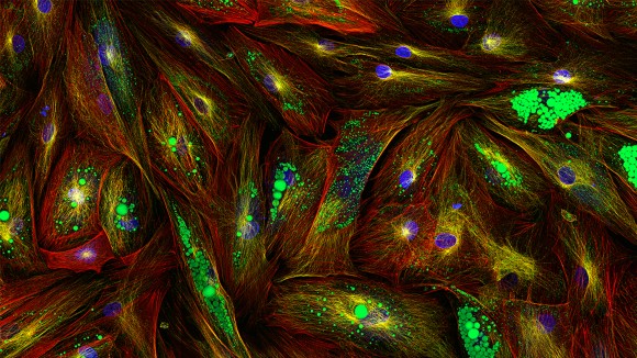 Perkembangan Kecerdasan Buatan dan Tantangannya bagi Masa Depan Kita