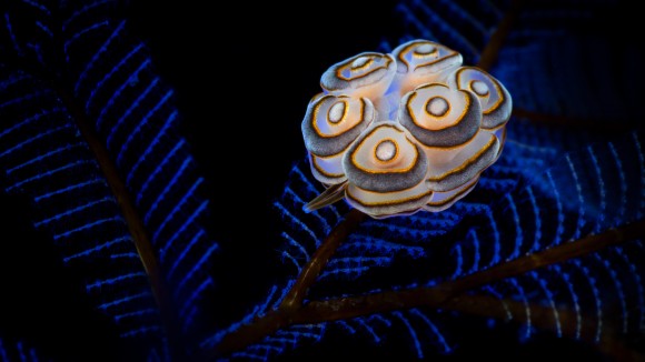 Perkembangan Kecerdasan Buatan dan Dampaknya pada Kehidupan Sehari-hari