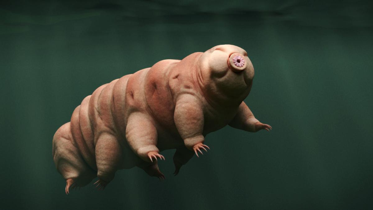 Protein Tardigrade dari mRNA Bisa Lindungi Pasien Kanker dari Efek Radioterapi