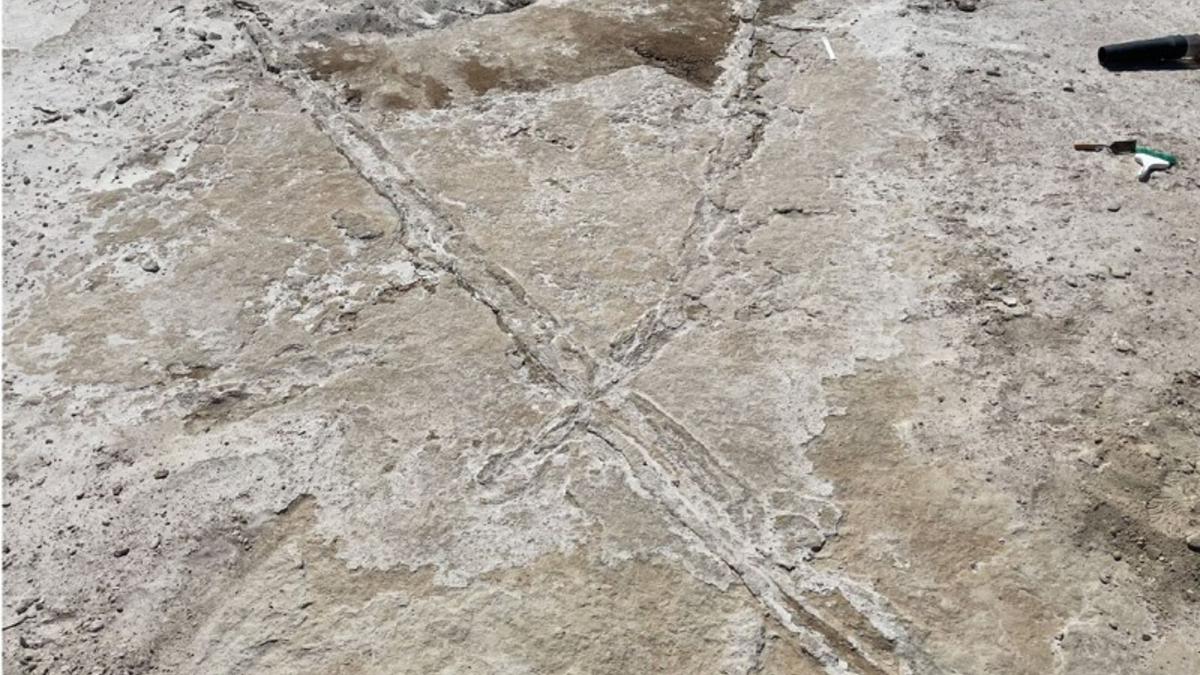 Jejak Tiang Kayu 23.000 Tahun Ungkap Cara Pionir Amerika Pindah Barang