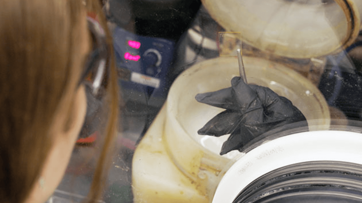 Teknologi Baru Titanium Perkuat Sel Surya Perovskit untuk Energi Terbarukan