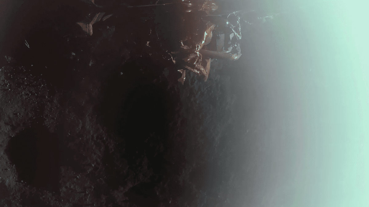 Firefly Aerospace Sukses Lakukan Pendaratan Pertama di Bulan Sebagai Bagian dari Misi NASA