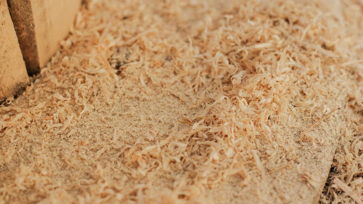 Kapasitor Lithium-Ion Hybrid dari Limbah Pinus Radiata: Solusi Penyimpanan Energi Ramah Lingkungan