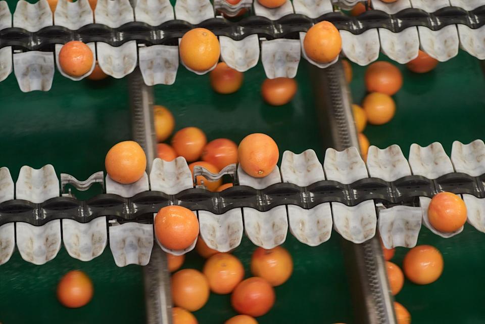 Khula: Marketplace Mobile untuk Petani Afrika Selatan Dukung Inklusi dan Digitalisasi