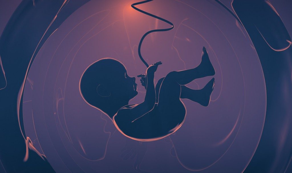 Sistem Kekebalan Janin Lebih Kuat: Peran Ganda dalam Melawan Virus Zika