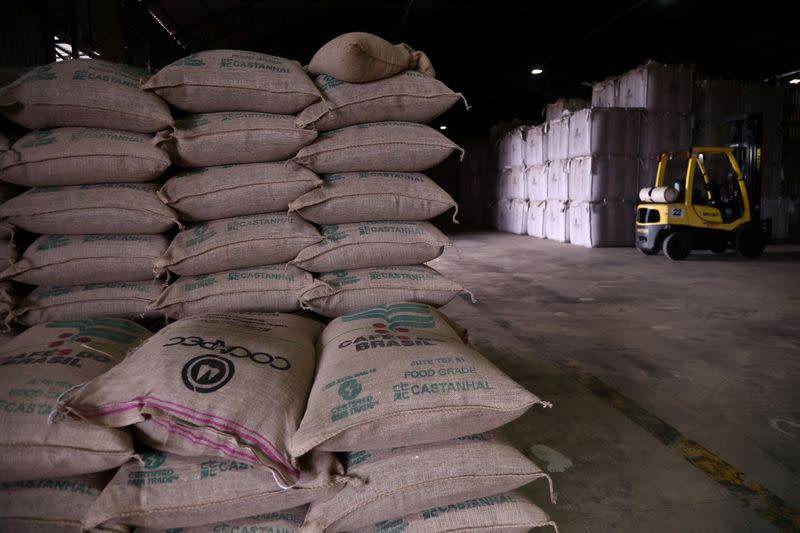 Harga Kopi Naik Tajam, Industri Kopi Global Terjebak Krisis Pasokan
