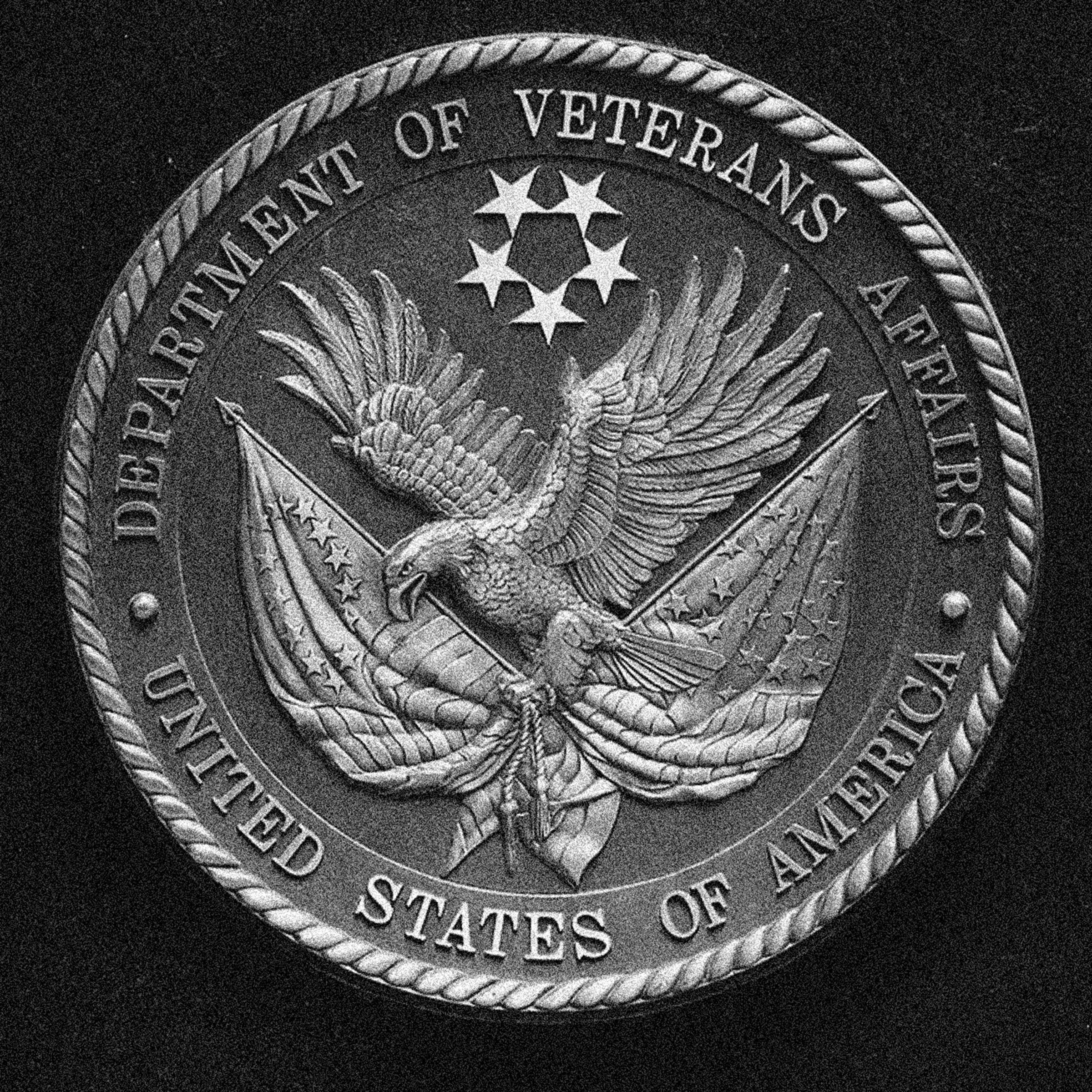 Pemecatan Keamanan VA.gov oleh DOGE Ancaman Serius Pada Data Veteran AS