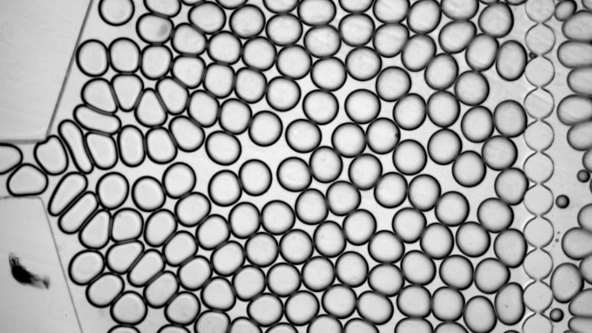 Nanodiamond dan Microfluidics: Deteksi Kimia Akurat dengan Quantum Sensing