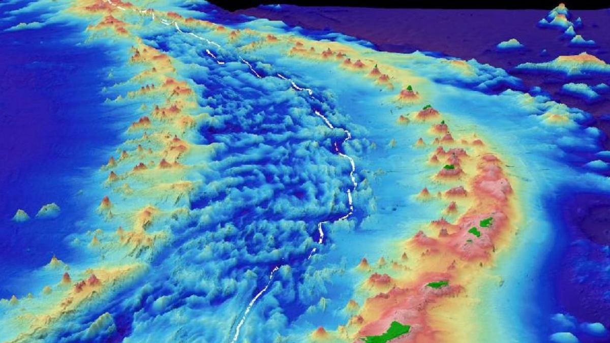 Ekspedisi Palung Mariana Ungkap Kehidupan Menakjubkan di Laut Dalam