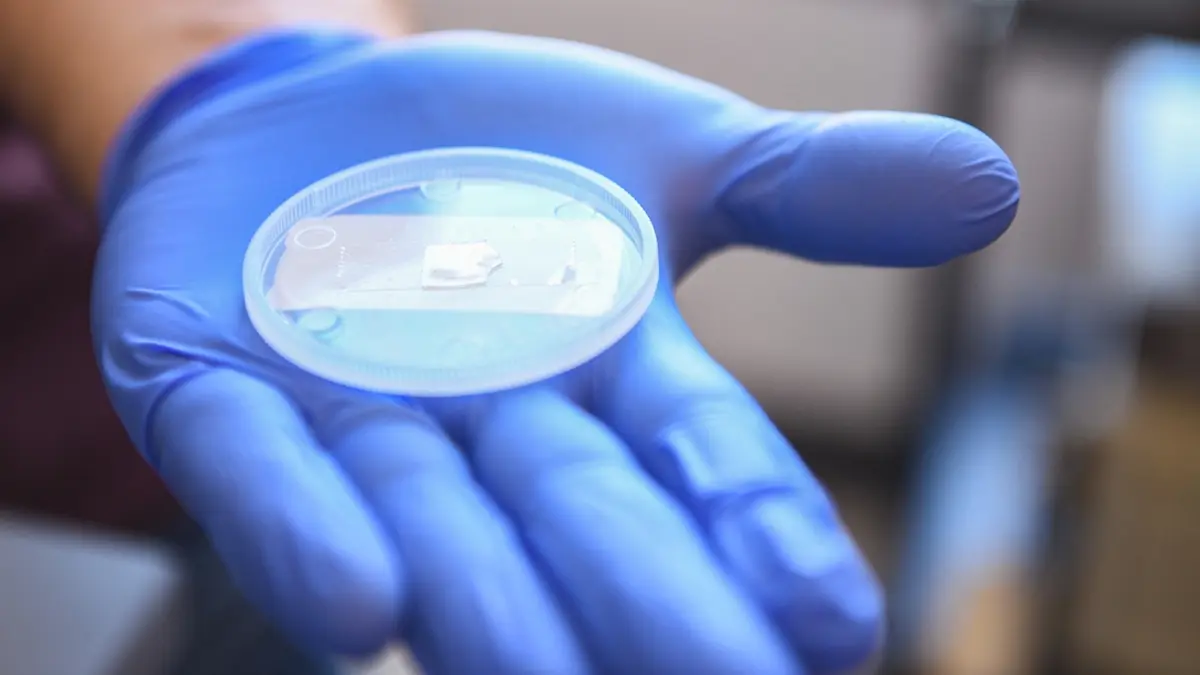 Struktur Nano Safir: Solusi Anti-Silau, Anti-Embun, dan Tahan Debu Masa Depan