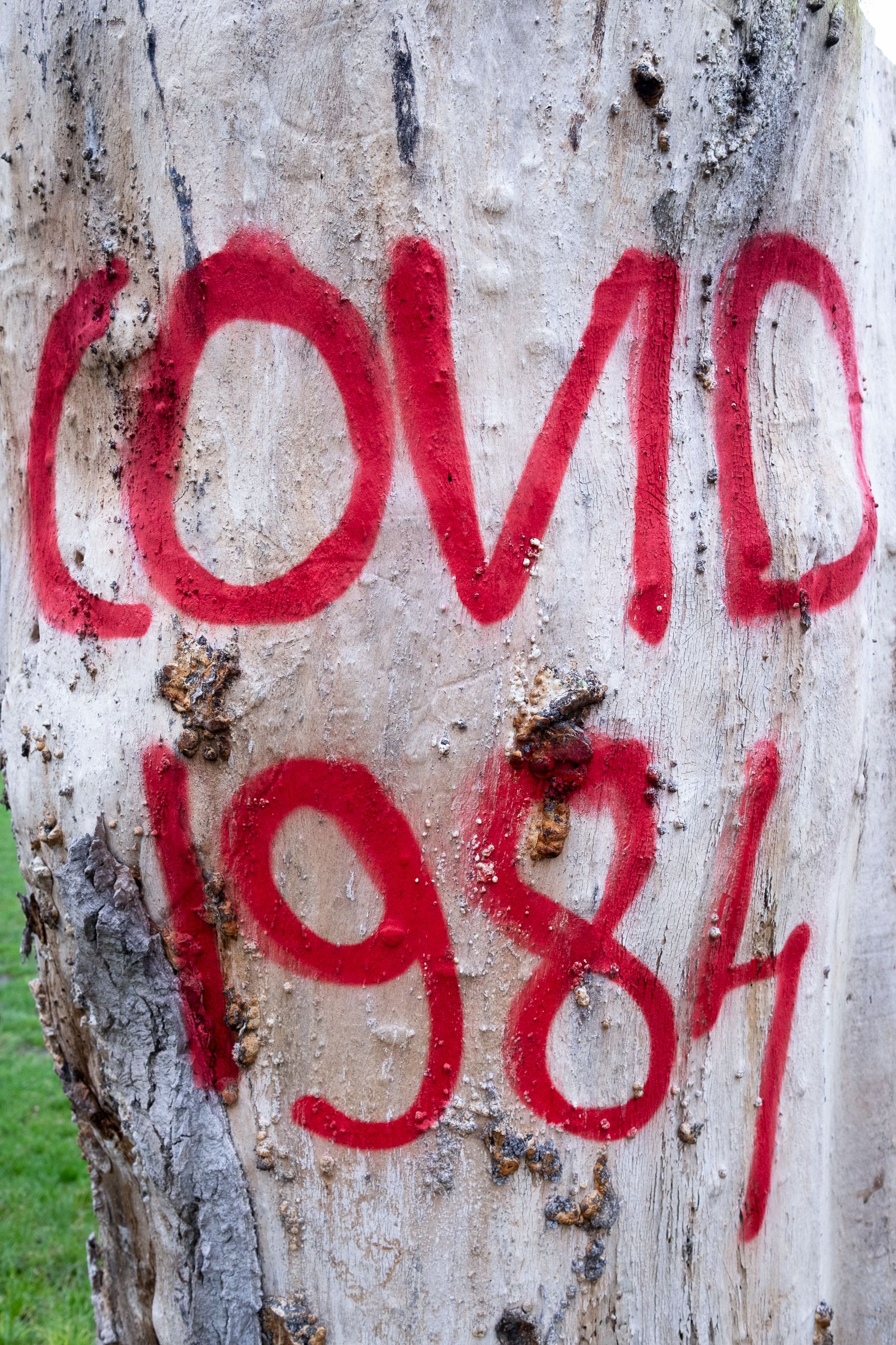 Kontroversi Covid-19: Teori Konspirasi dan Masa Depan Riset Kesehatan di AS